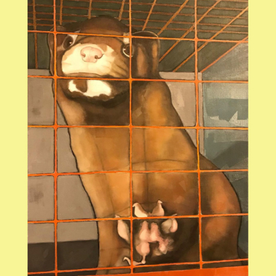 Profile: Kristin Walsh, Vegan Artist