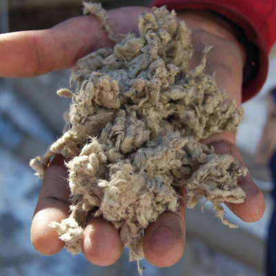 Is Mineral Wool Vegan?